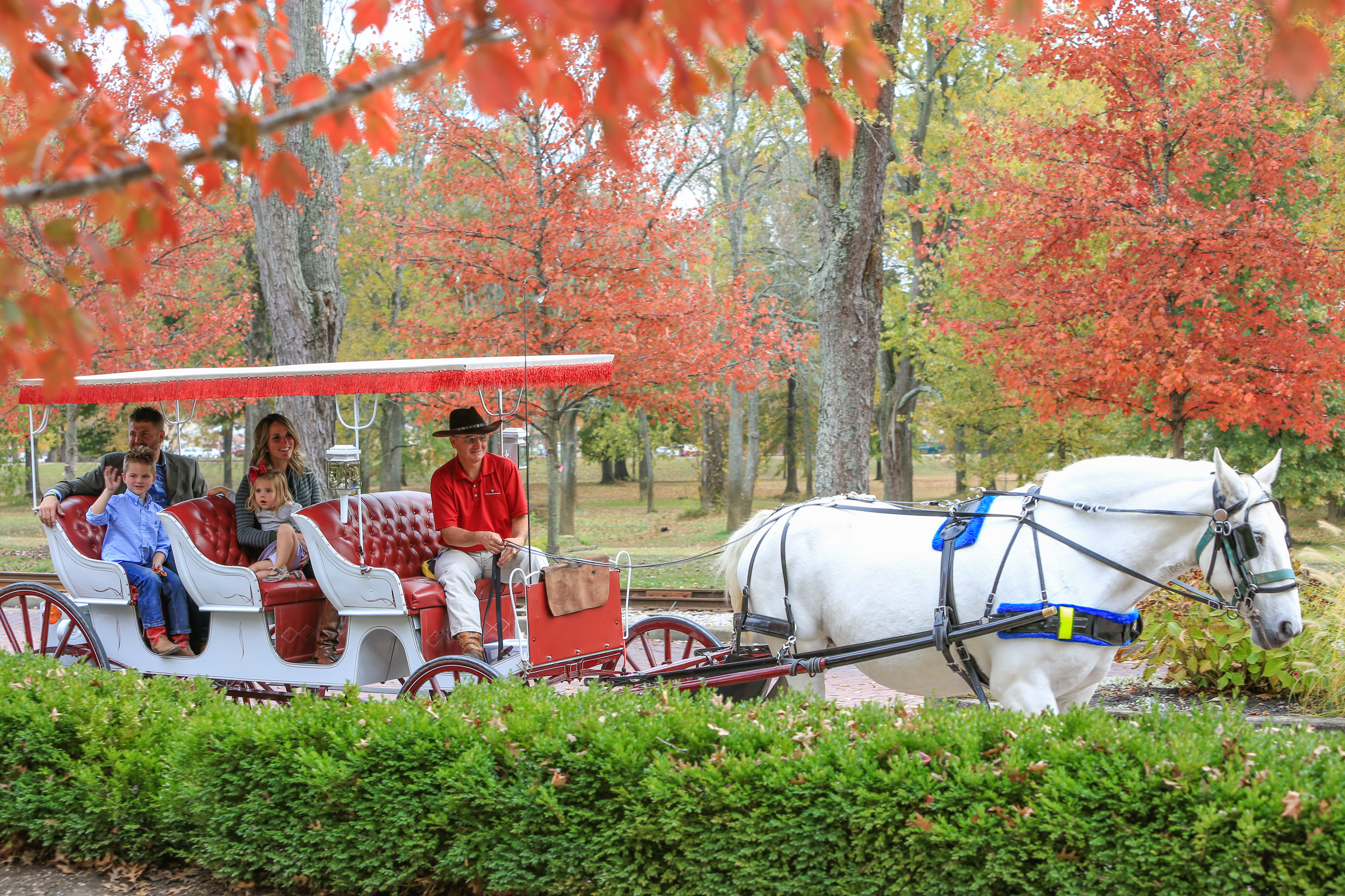 Carriage Rides at French Lick Resort