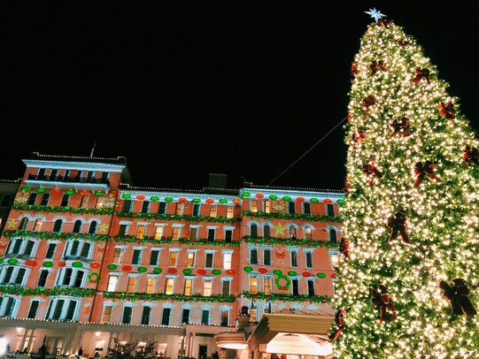 Christmas Tree and Holiday Scene at French Lick Springs Hotel