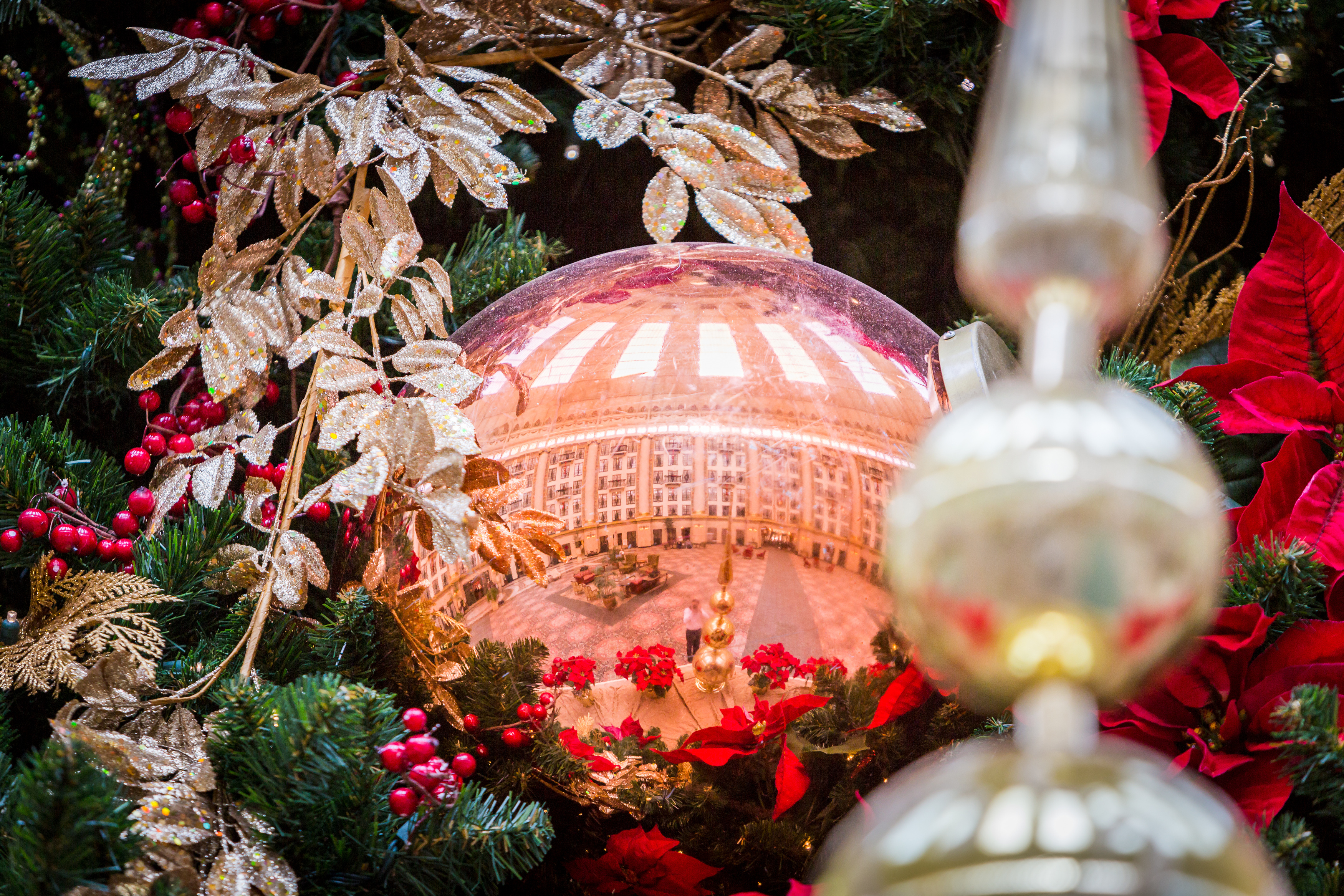 a close up of a christmas tree