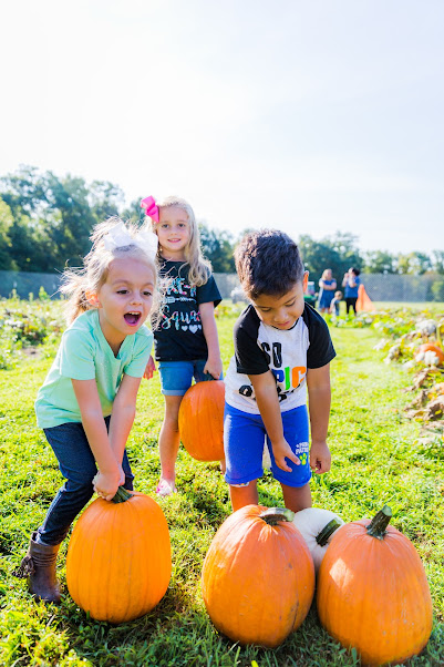 kids playing in pumpkin patch