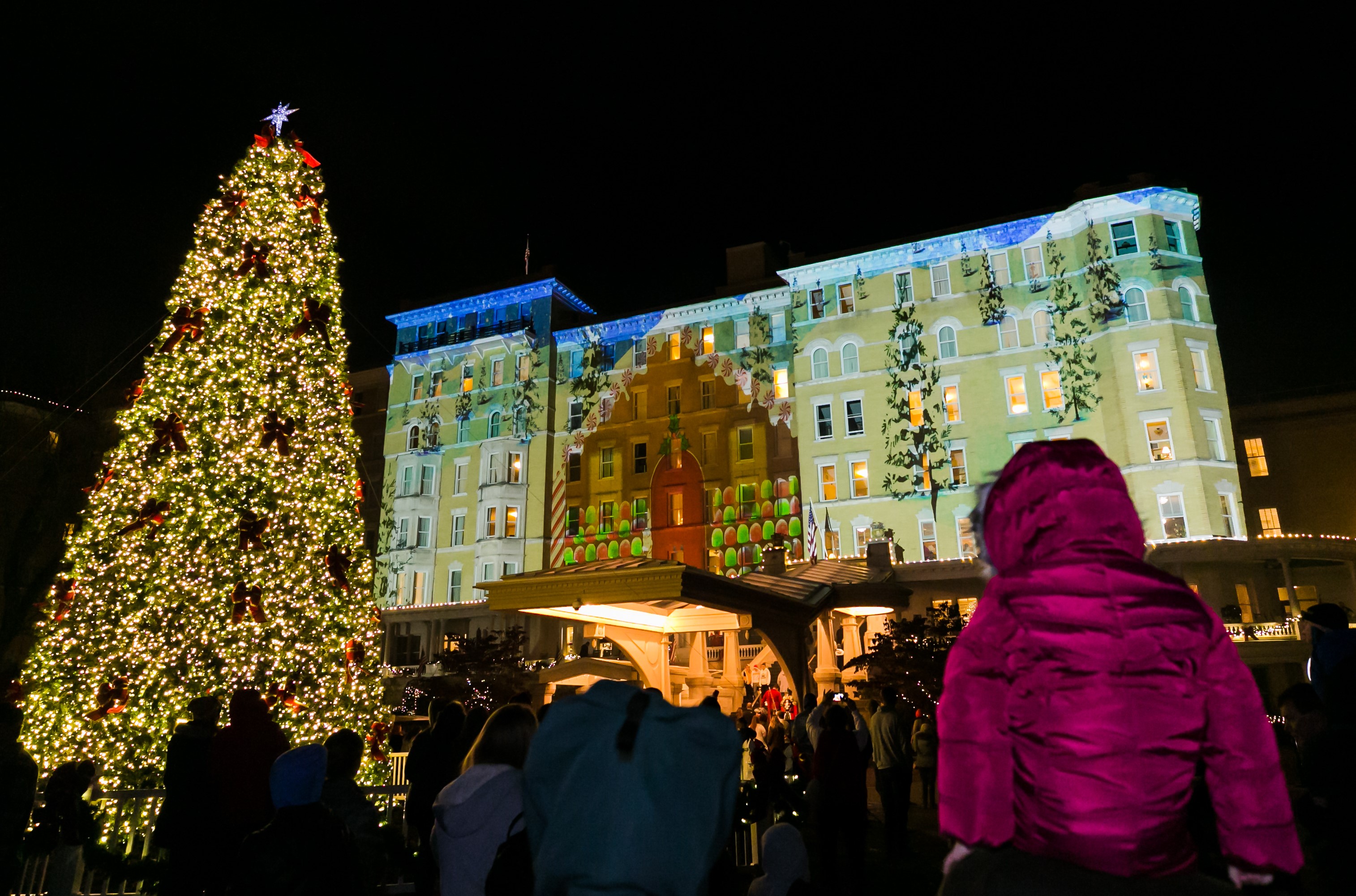 a group of people standing in front of a large building with a christmas tree