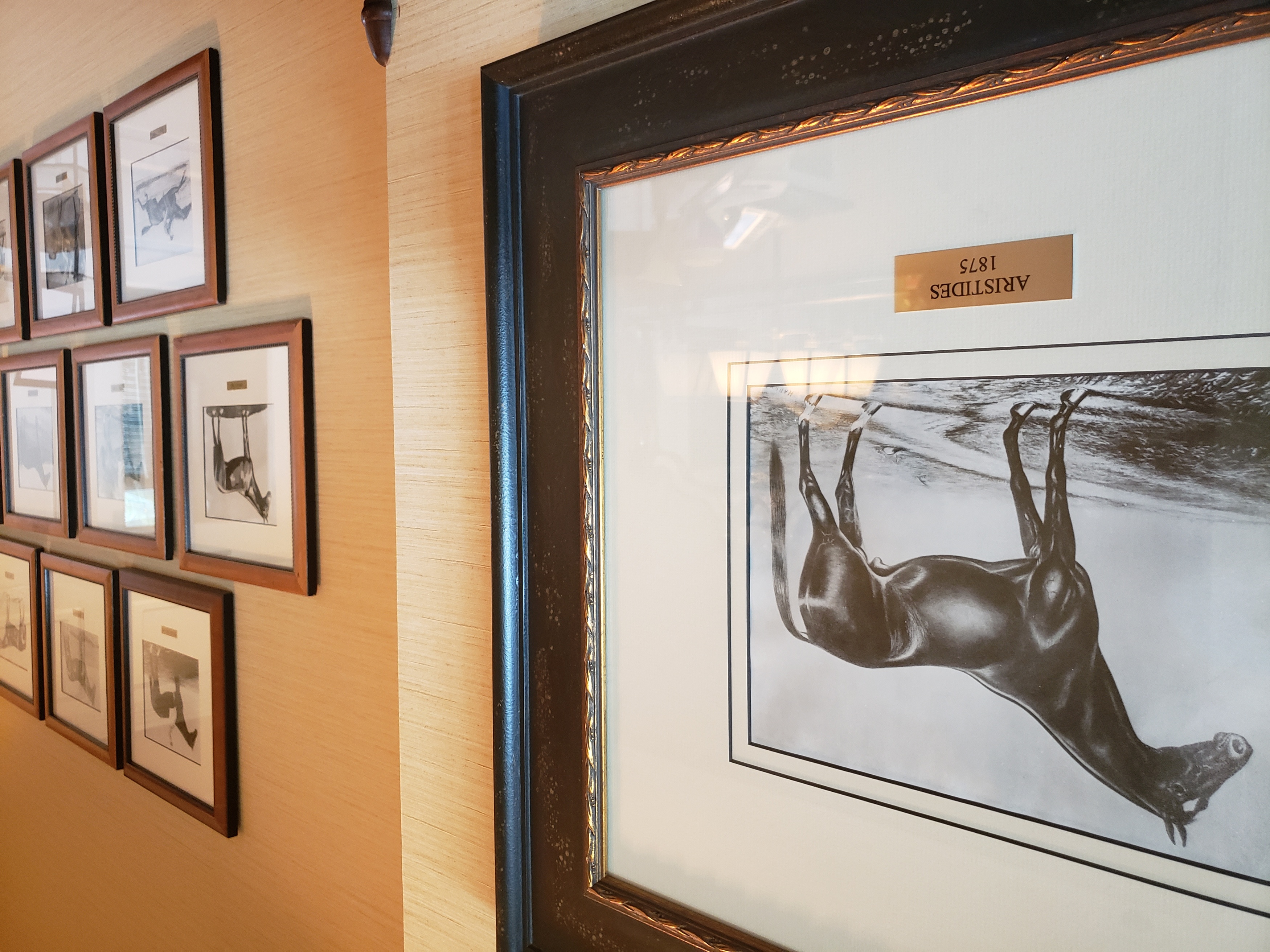 a framed picture of a horse