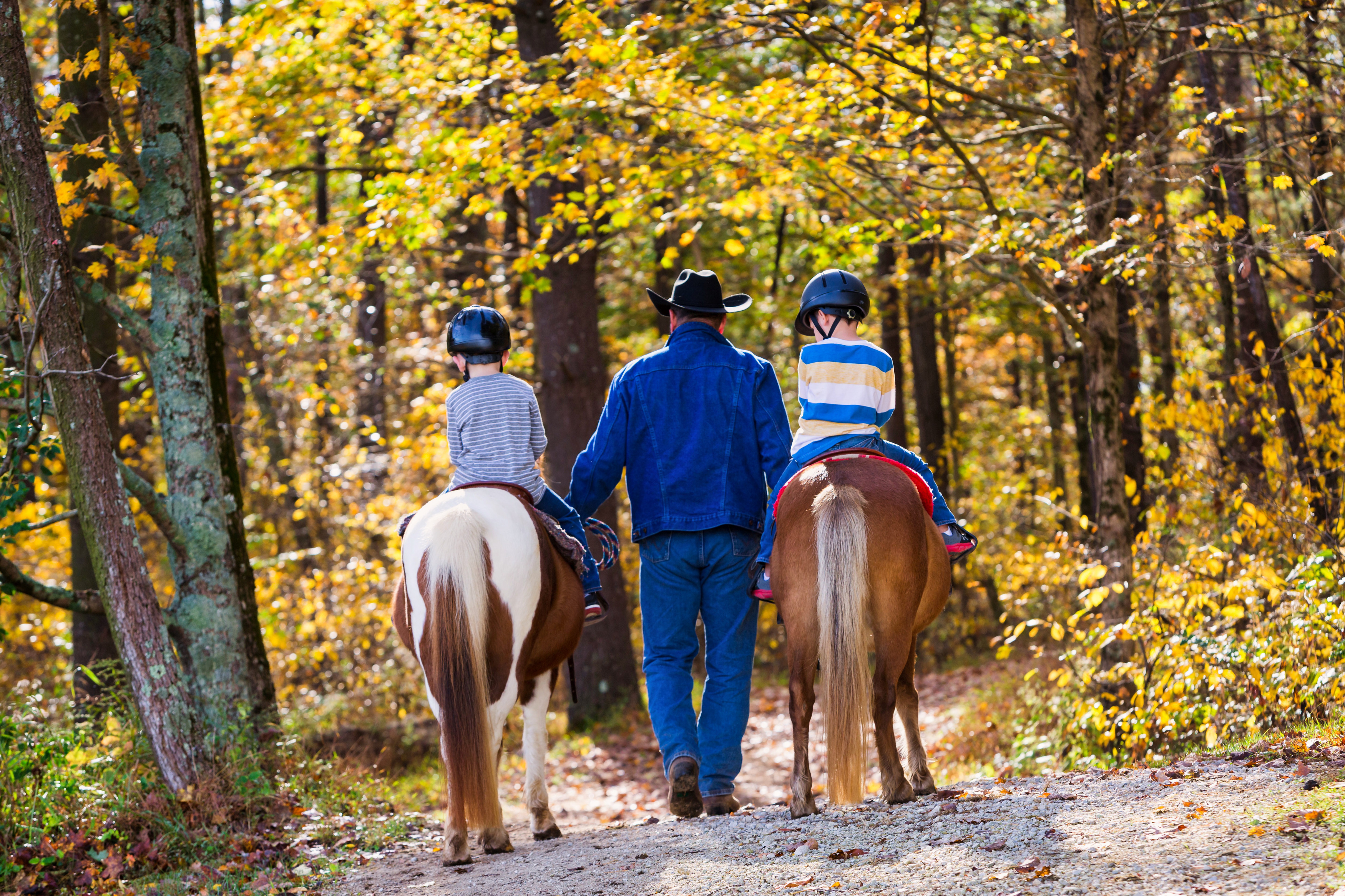 a man and two kids riding horses on a path in the woods