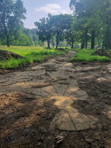 picture of muddy ground in woods