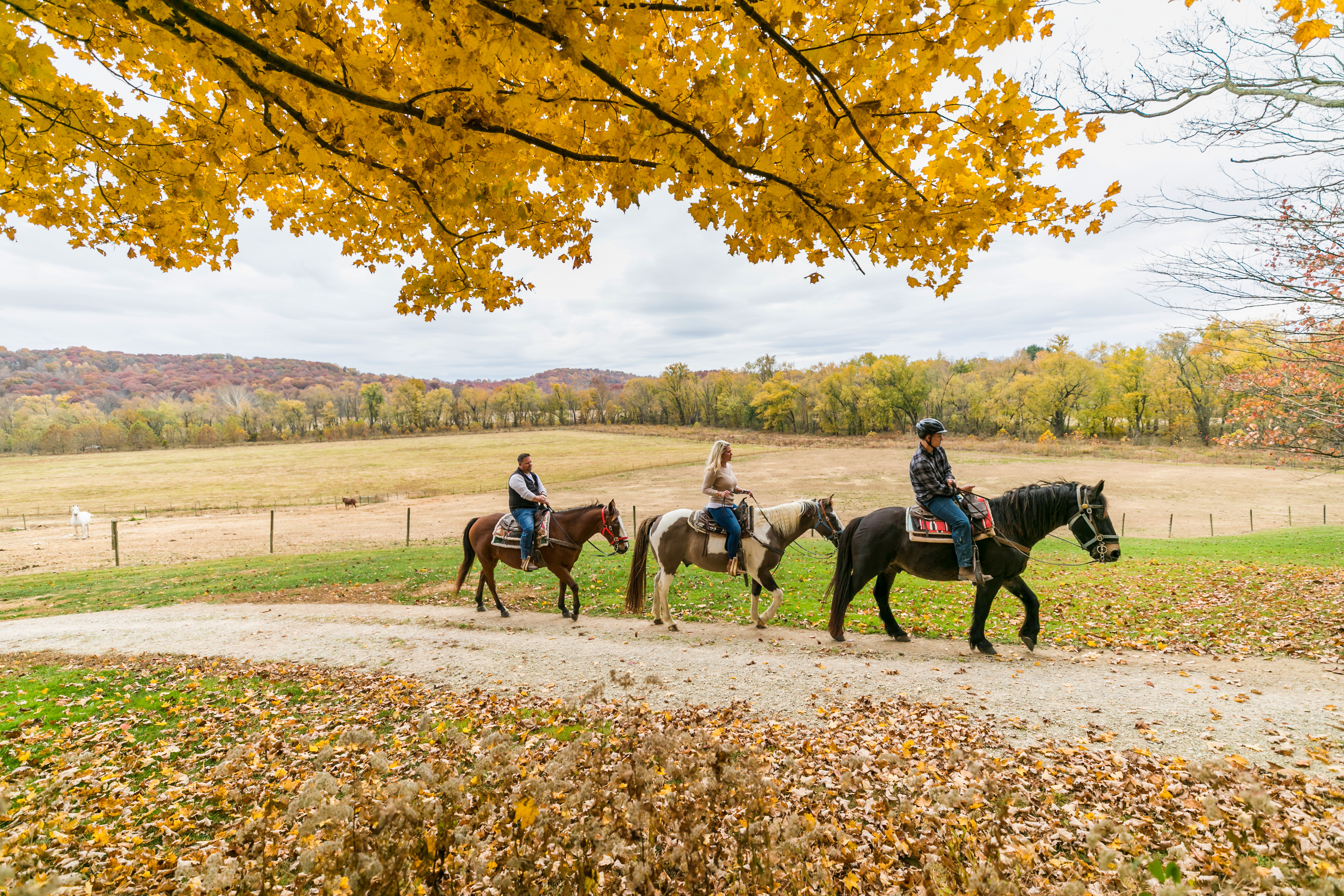 Horseback riding at French Lick Resort