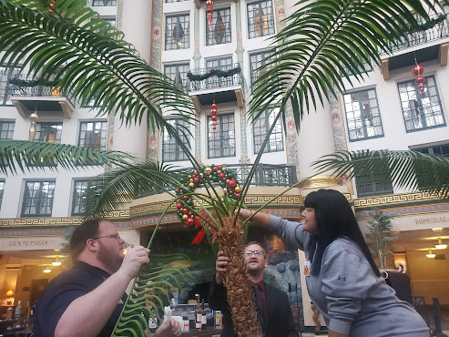 Palm Tree with Christmas Wreath in west baden springs