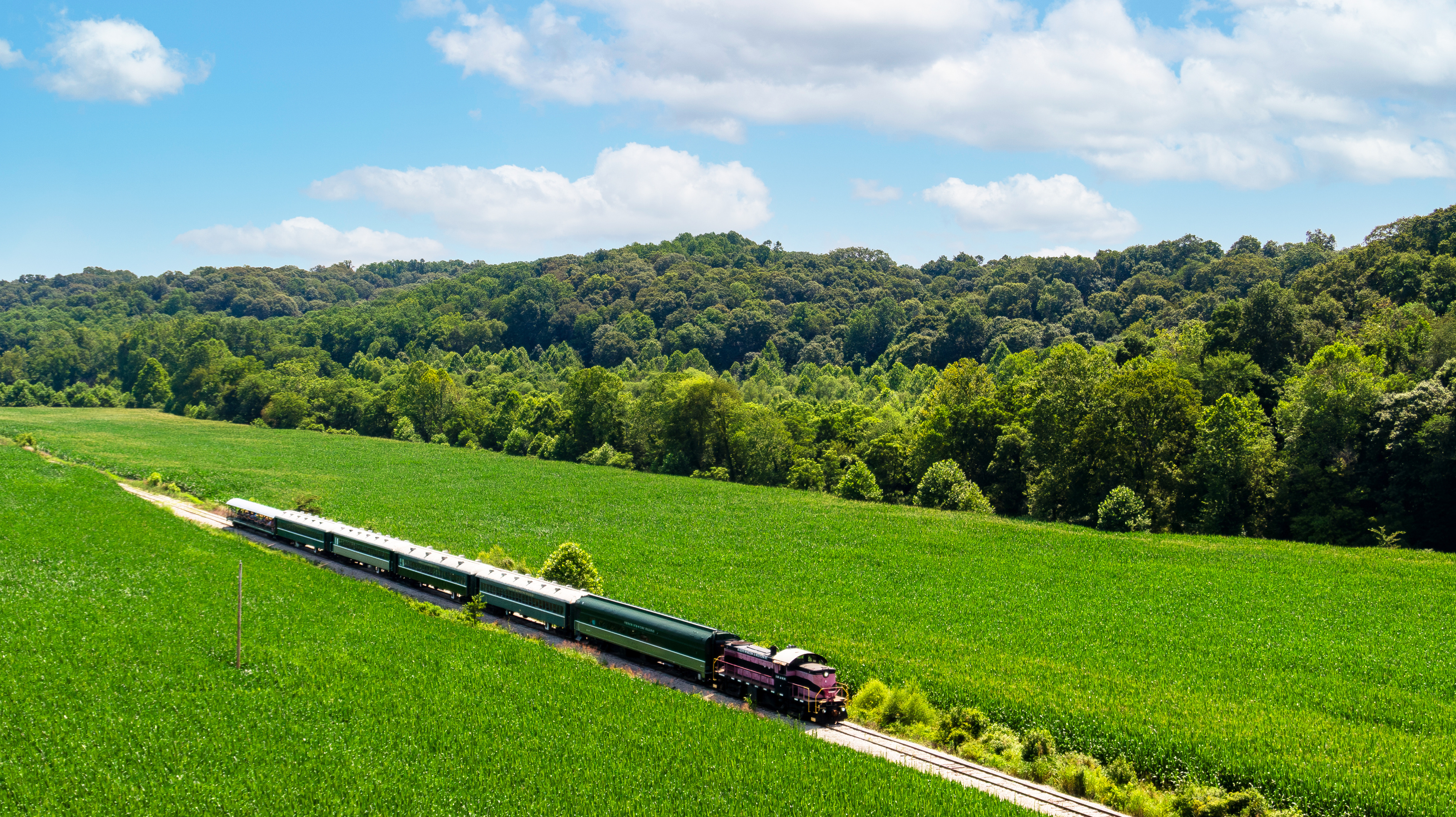 a train on the tracks in a field of green grass