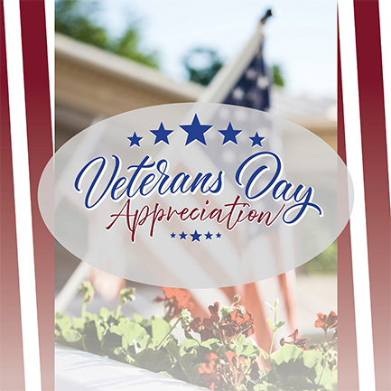 Veteran's Day Appreciation