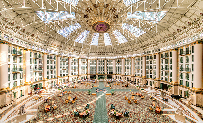 Behind the Scenes Tour