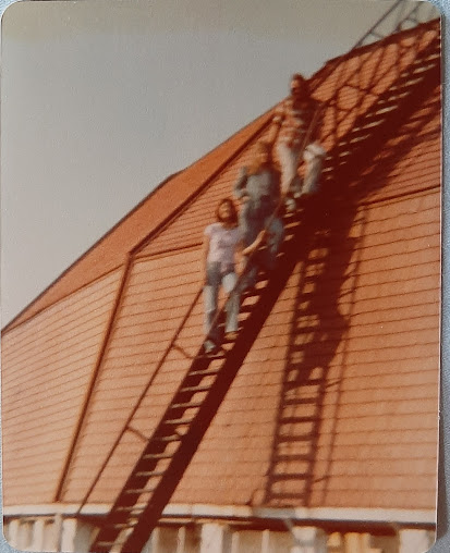 friends on the dome