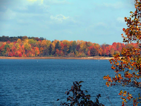 patoka lake