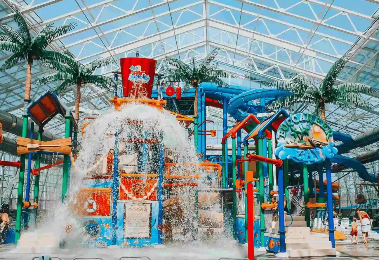 a water park with palm trees