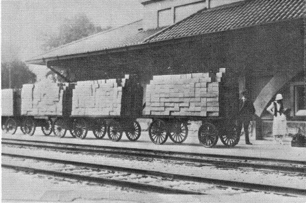 a man carrying a train