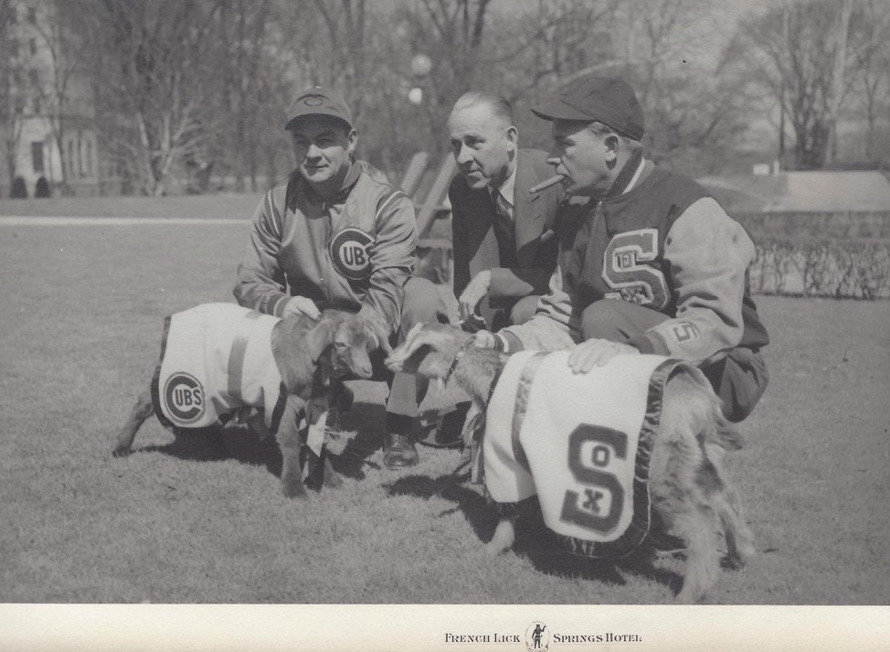 a group of men with goats