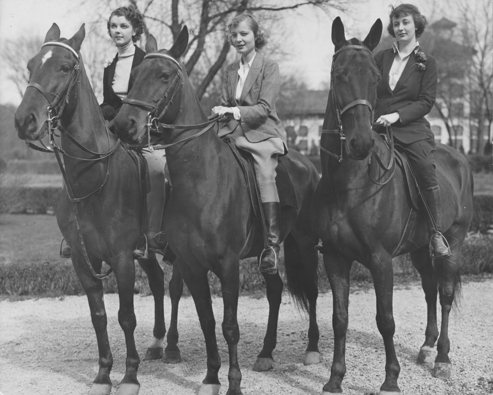 a group of women riding horses