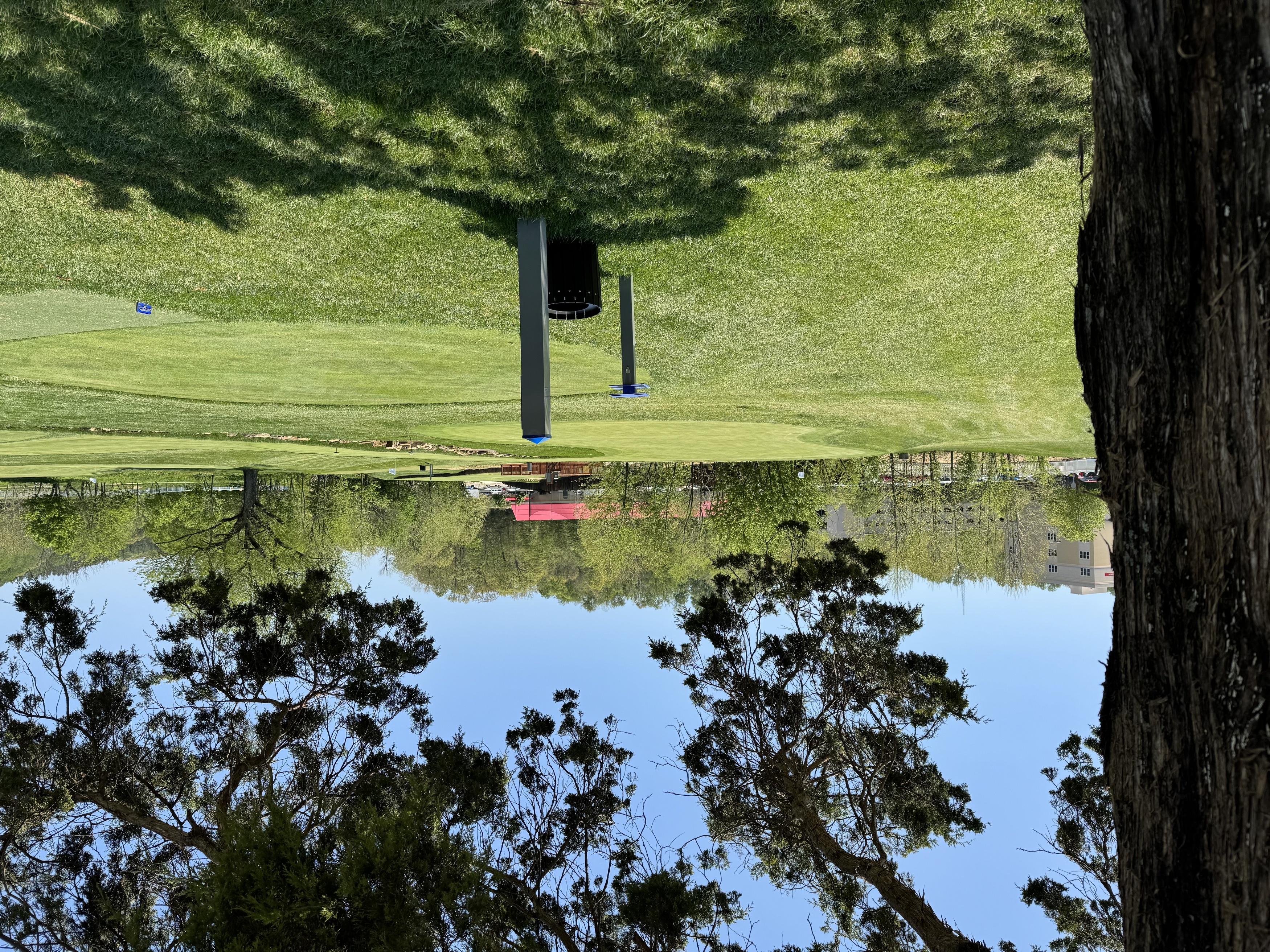 a park with trees and grass