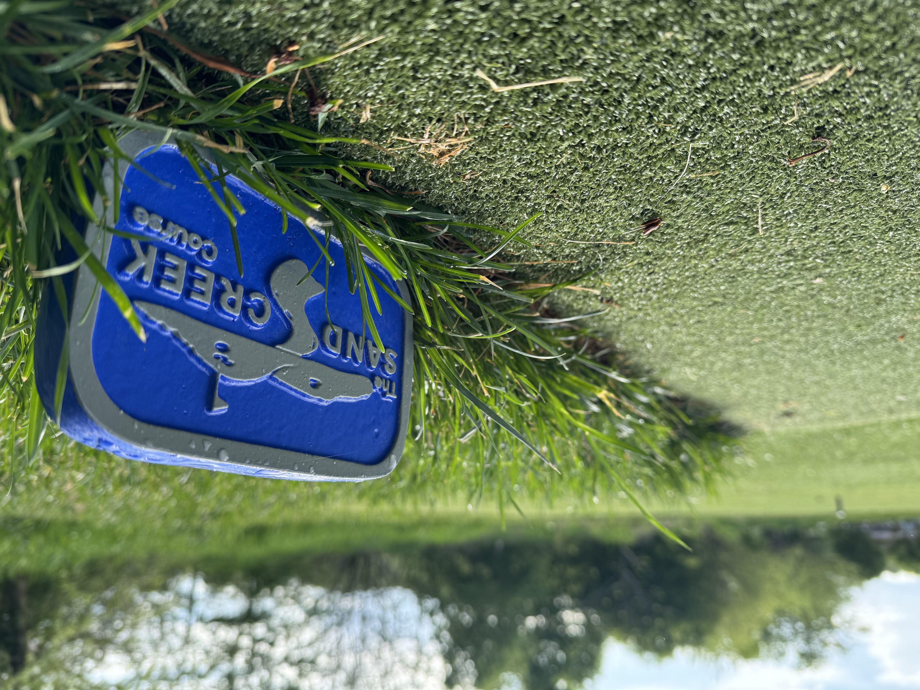 a blue sign on grass