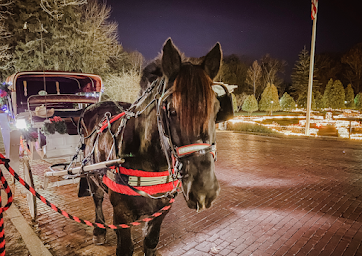 horse drawn carriage