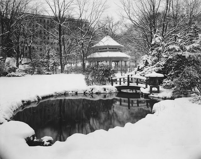 french lick gardens in snow
