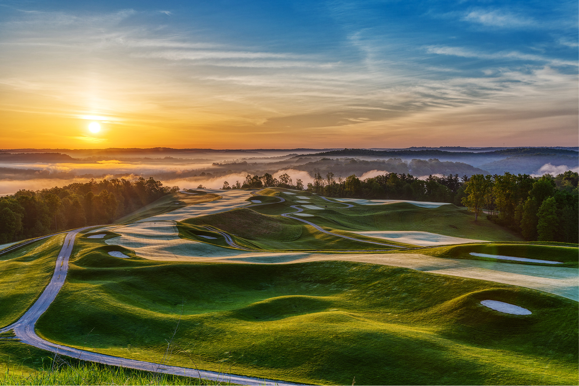 フレンチブルドッグ　GOLFロングティー フレンチブルドッグ GOLFロングティー