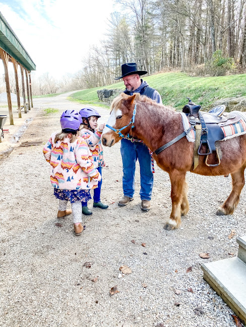 kids petting pony