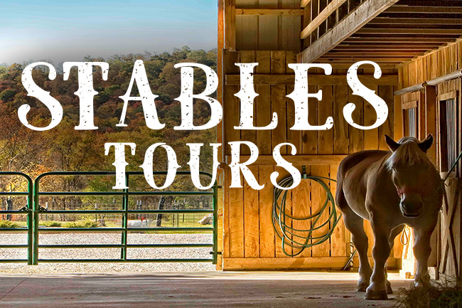 Stables Tours