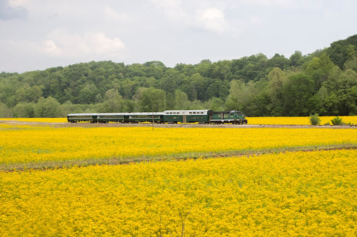 train in mustard seeds