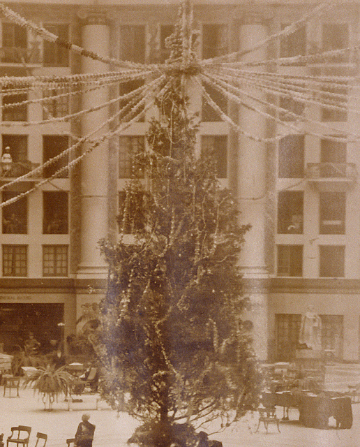 old photo of Christmas Tree